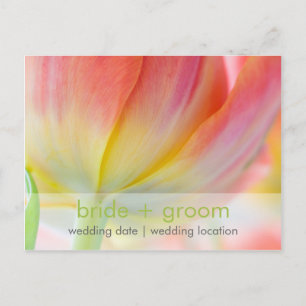 Colours of Spring • Save the Date Postcard
