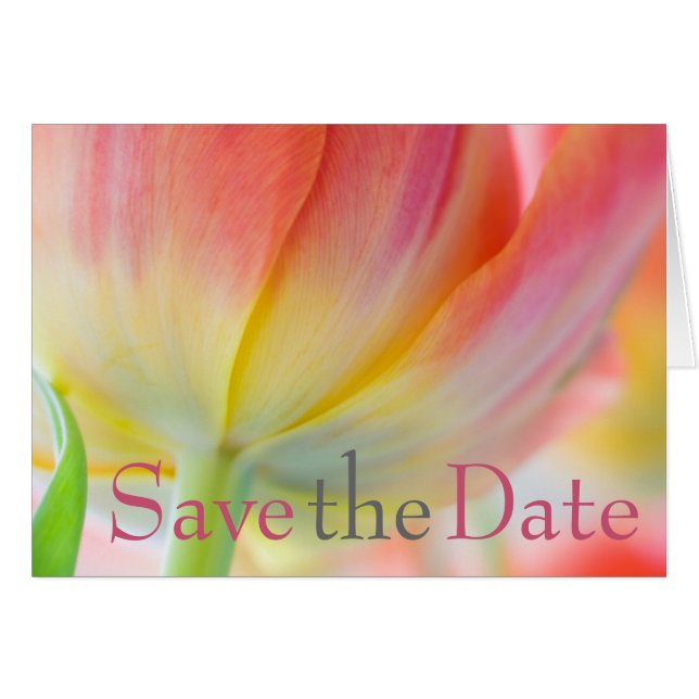 Colours of Spring Tulip Save the Date Card (Front Horizontal)