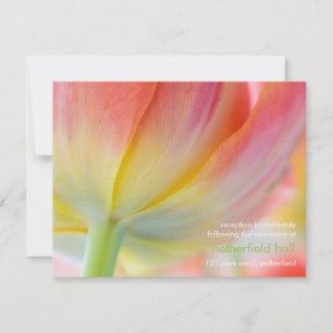 Colours of Spring • Wedding Reception Invitation