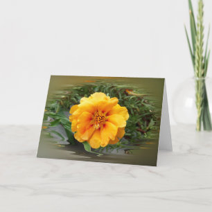 Colours of summer card