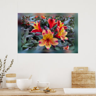 Colours of summer poster