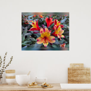 Colours of summer poster