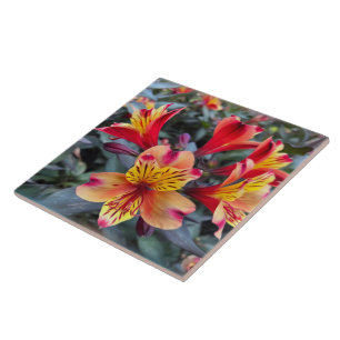 Colours of summer tile
