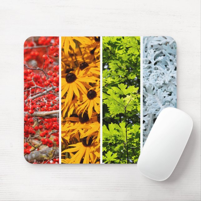Colours of the Changing Seasons Quadriptych Mouse Mat (With Mouse)