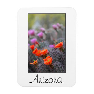 Colours of the desert Arizona Magnet