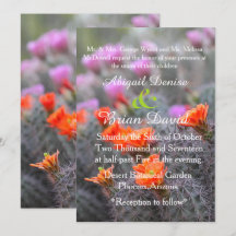 Colours of the desert cactus blooms background