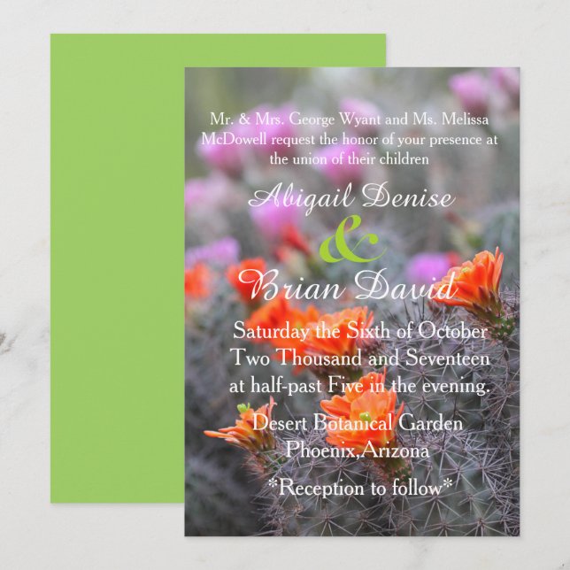 Colours of the desert green background invitation (Front/Back)