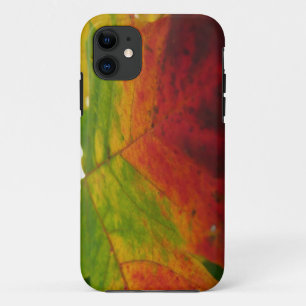 Colours of the Maple Leaf Autumn Nature Photograph iPhone 11 Case
