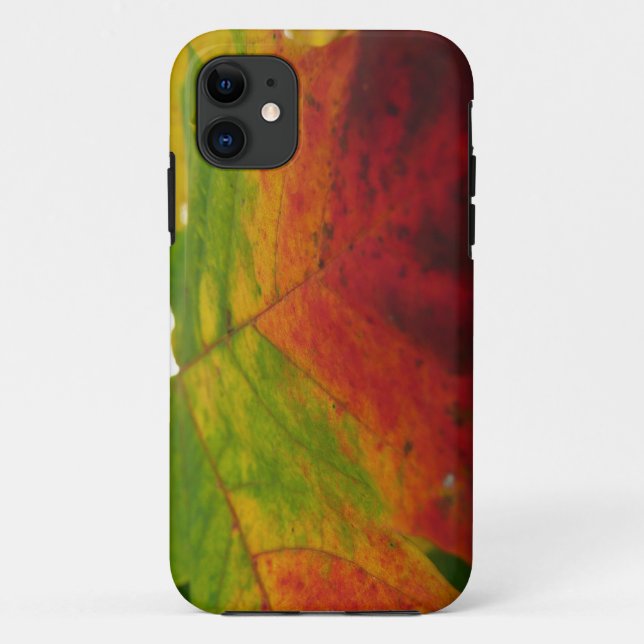 Colours of the Maple Leaf Autumn Nature Photograph Case-Mate iPhone Case (Back)