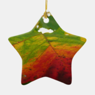 Colours of the Maple Leaf Autumn Nature Photograph Ceramic Tree Decoration