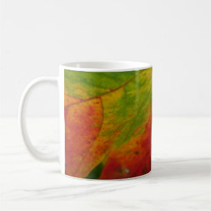 Colours of the Maple Leaf Autumn Nature Photograph Coffee Mug