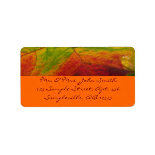 Colours of the Maple Leaf Autumn Nature Photograph Label