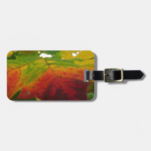 Colours of the Maple Leaf Autumn Nature Photograph Luggage Tag