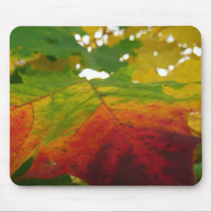 Colours of the Maple Leaf Autumn Nature Photograph Mouse Mat