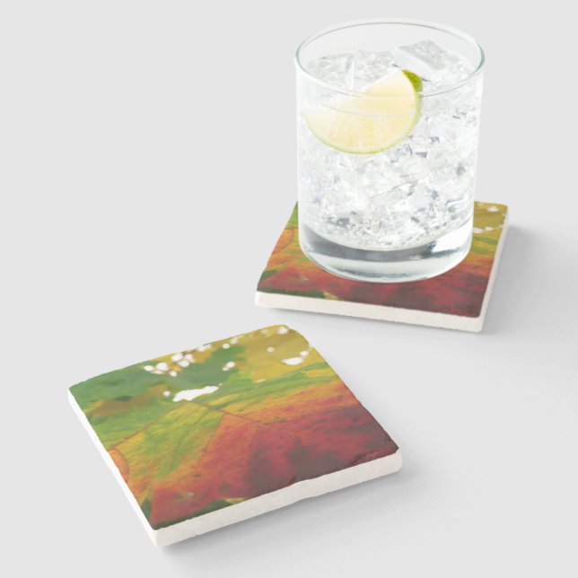 Colours of the Maple Leaf Autumn Nature Photograph Stone Coaster (Side)