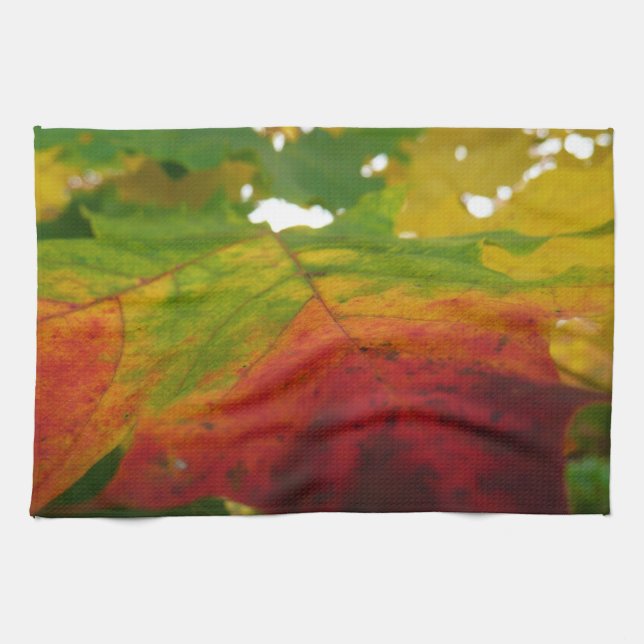 Colours of the Maple Leaf Autumn Nature Photograph Tea Towel (Horizontal)