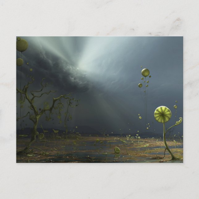 Colours of the Storm Postcard (Front)