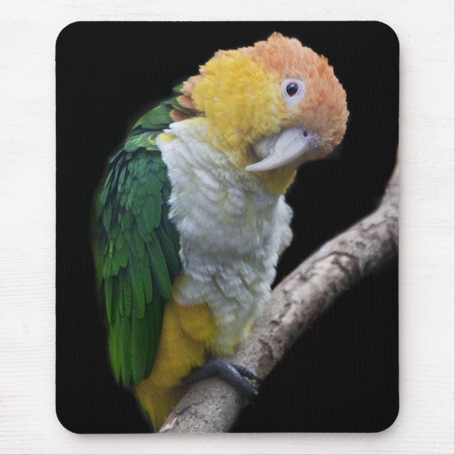Colourtul Cutie Mousemat (Front)
