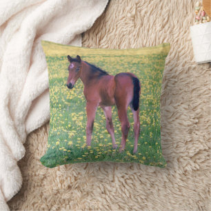 Colt in Dandelion Field Cushion