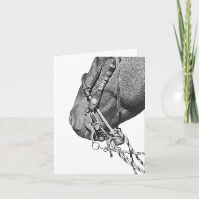 Colt in the Two Rein - 4" x 5.6" Notecard (Front)