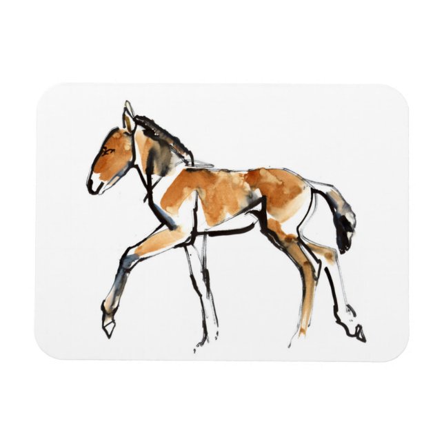 Colt Magnet (Horizontal)