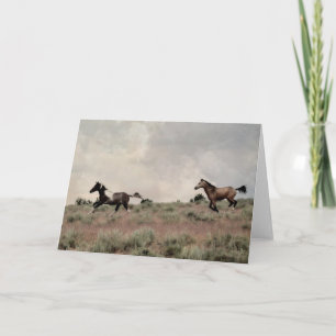 Colt Play Greeting Card