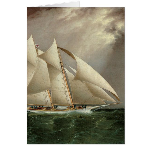 Columbia and Dauntless Hurricane Cup Race (Front)
