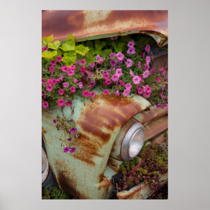 Columbia Falls Poster