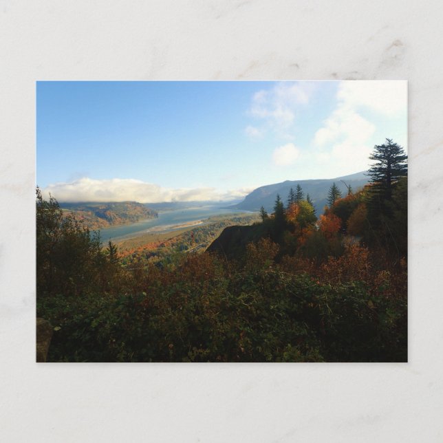 Columbia River Gorge in Autumn Postcard (Front)