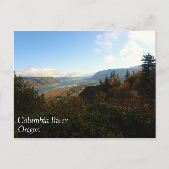Columbia River Gorge in Autumn Postcard (Front)
