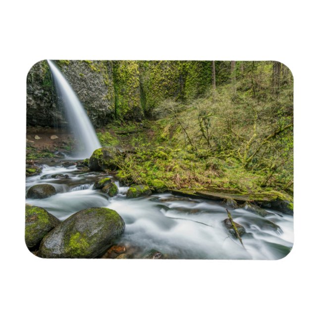 Columbia River Gorge, Ponytail Falls Magnet (Horizontal)