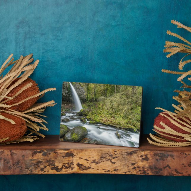 Columbia River Gorge, Ponytail Falls Plaque (Side)