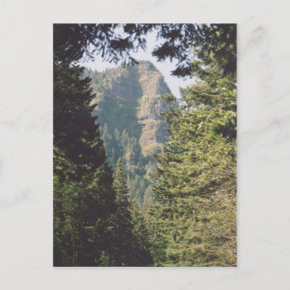 Columbia River Gorge Postcard