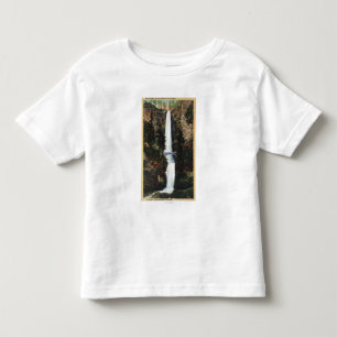 Columbia River, OR - Multnomah Falls and Benson Toddler T-Shirt