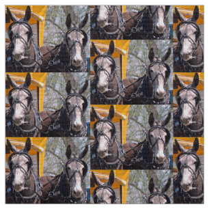 Columbia, TN Mule Days Fabric