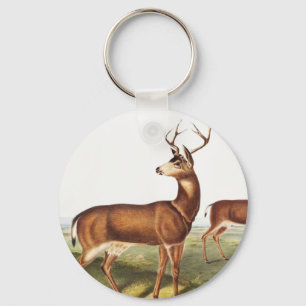 Columbian Black-tailed Deer (Cervus Richardsonii) Key Ring