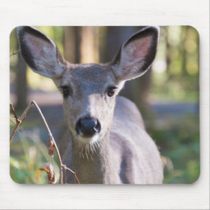 Columbian Black-tailed Doe   Washington State Mouse Mat