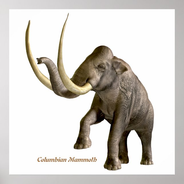 Columbian Mammoth Print (Front)