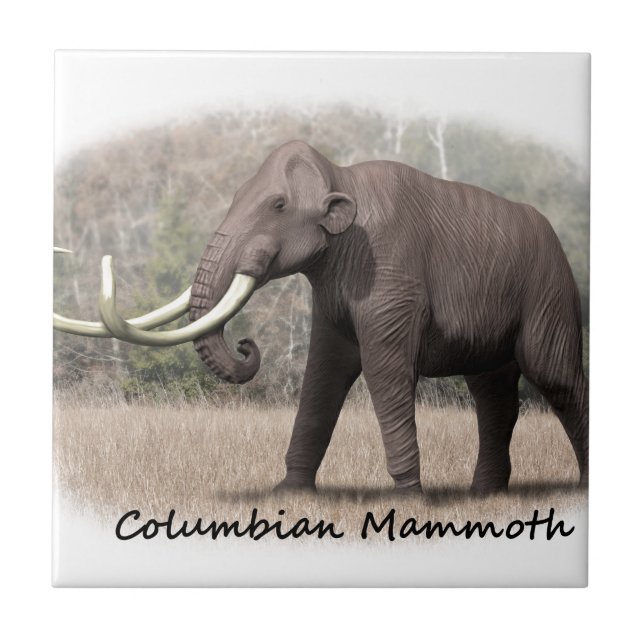 Columbian Mammoth Tile (Front)