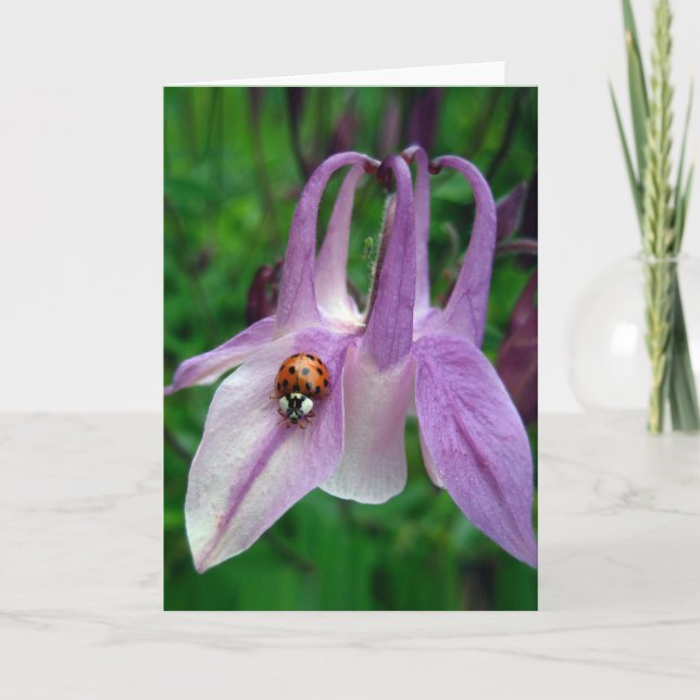 Columbine 2 Card (Front)