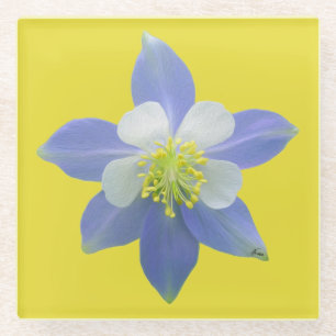 Columbine 2 glass coaster