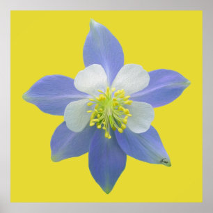 Columbine 2 poster