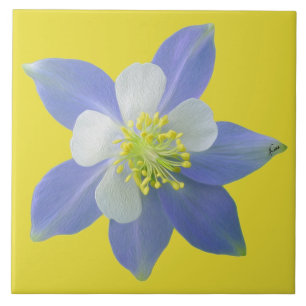 Columbine 2 tile