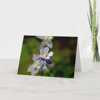 Columbine Flower 7 Card