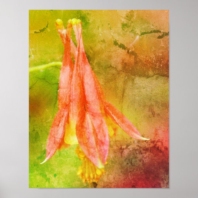 Columbine Flower Abstract Poster (Front)
