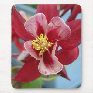 Columbine Flower Mouse Mat