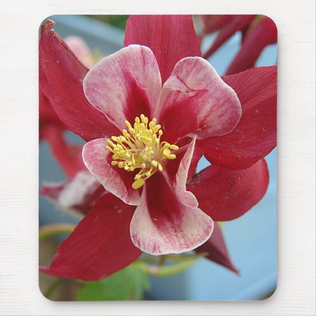 Columbine Flower Mouse Mat (Front)