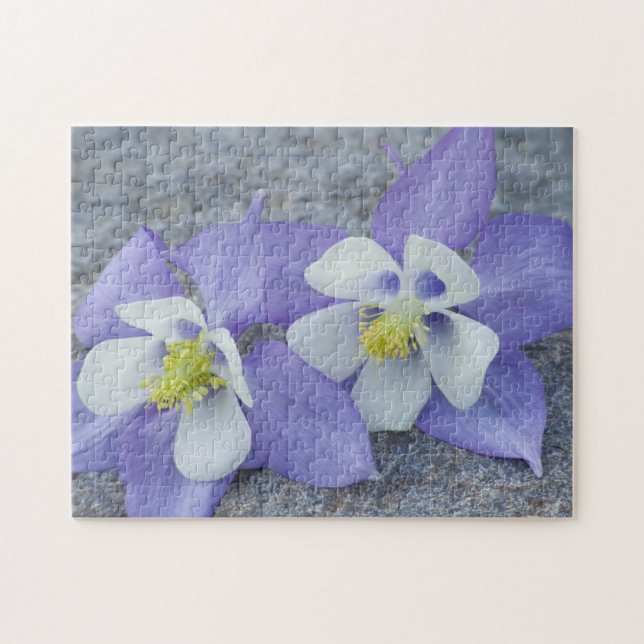 Columbine Flower Pair Jigsaw Puzzle (Horizontal)