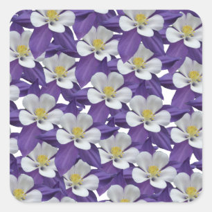 Columbine Flower Pattern Square Sticker