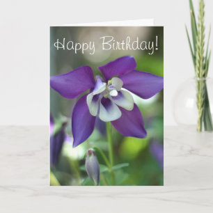 Columbine flower photo card